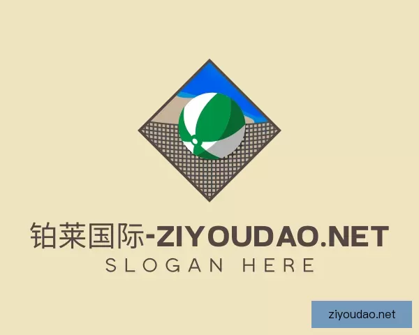 了解规则铂莱国际